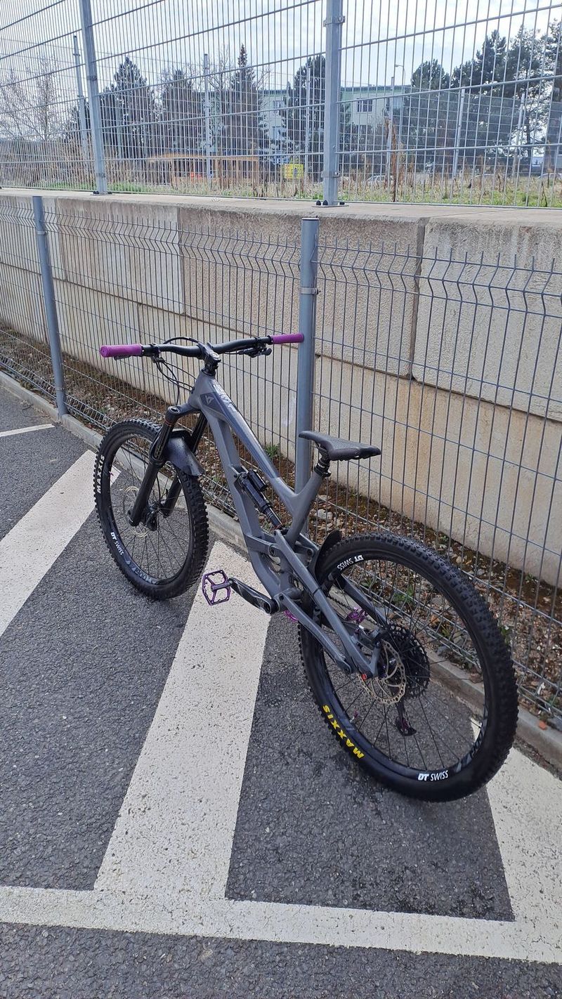 Yt capra 2019