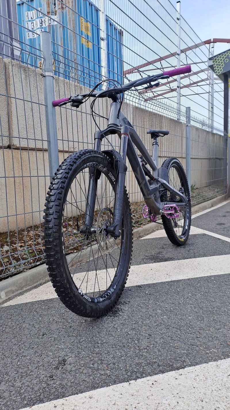 Yt capra 2019