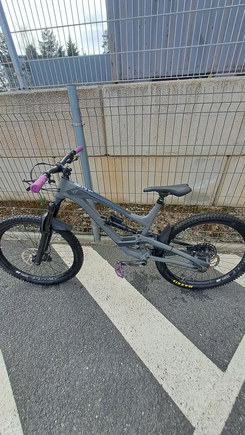 Yt capra 2019