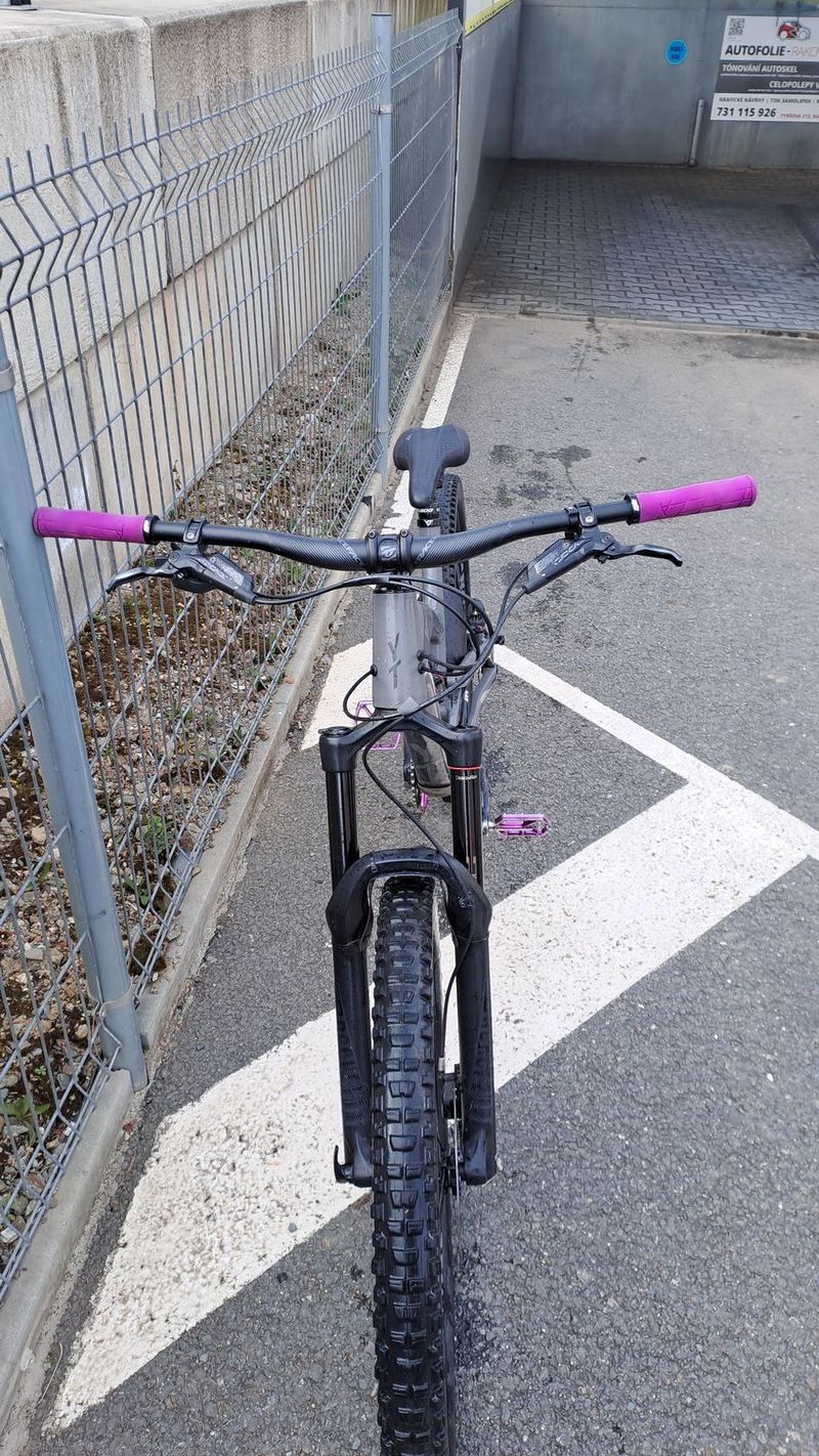 Yt capra 2019