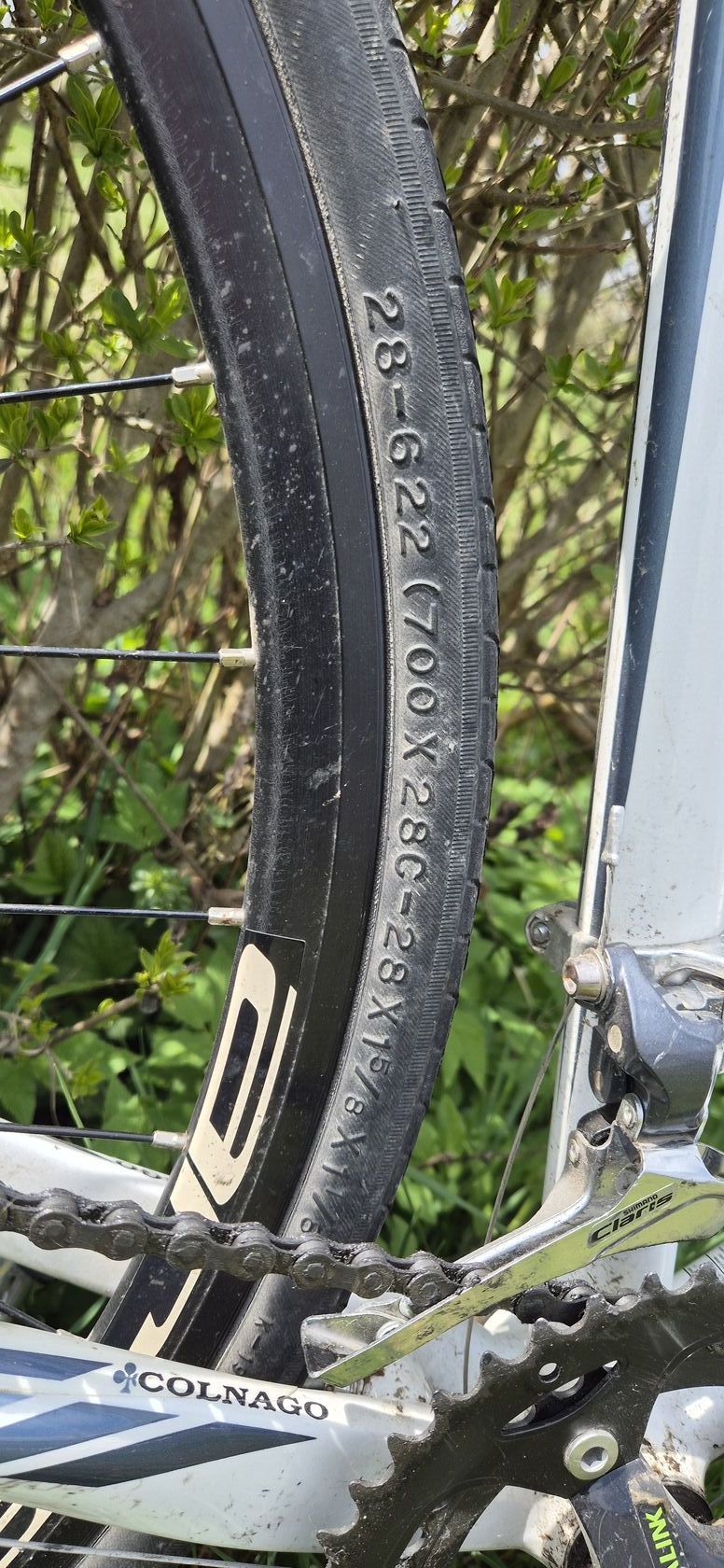 Colnago