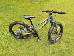 Specialized Riprock 20”