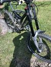 Norco Performance A-line 
