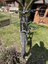 Norco Performance A-line 
