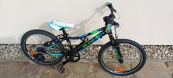 Superior Paint 20"