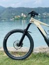 GIANT REIGN E+ 2 PRO, ebike + chip