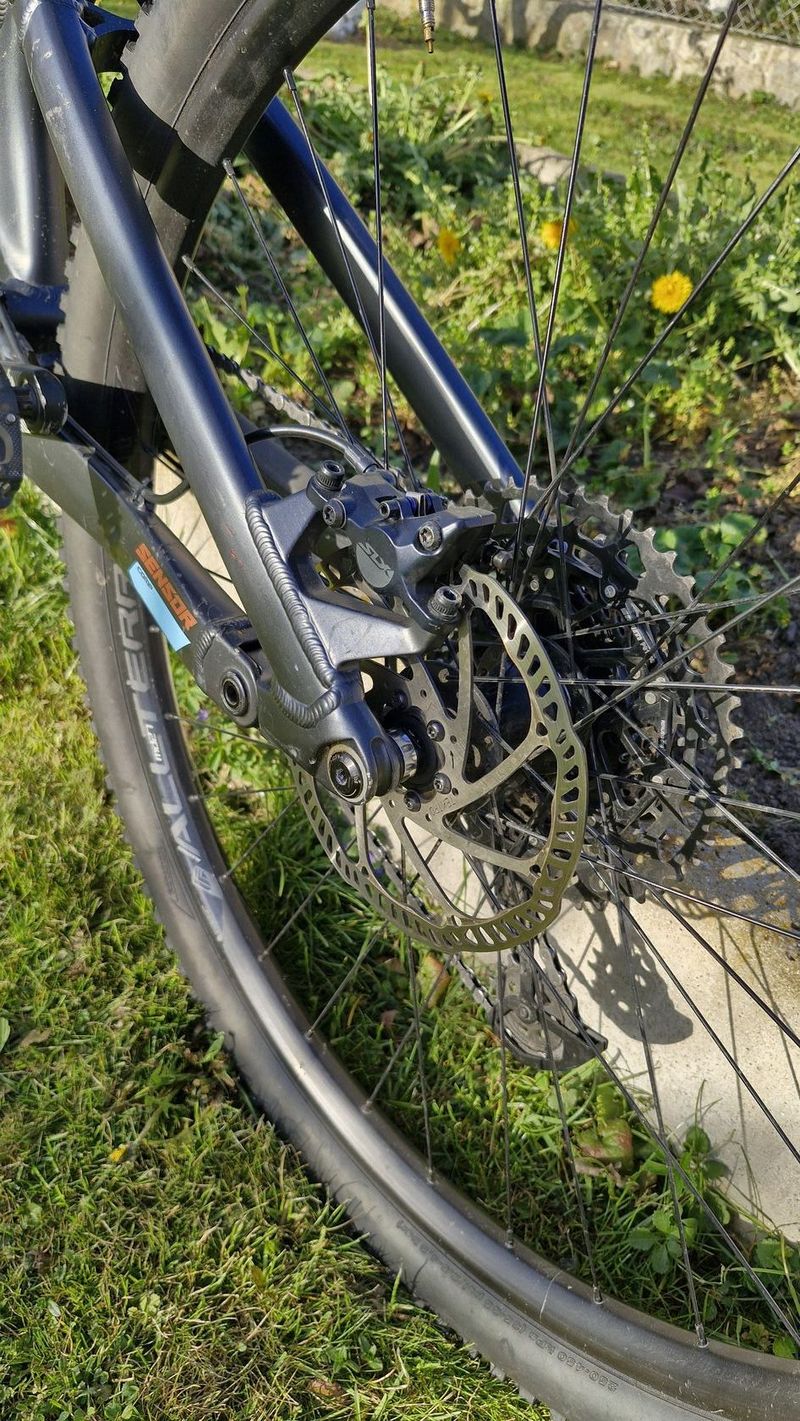 GT Sensor Comp 29" 2020