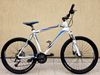 #21 Giant Revel, pro 180-190cm