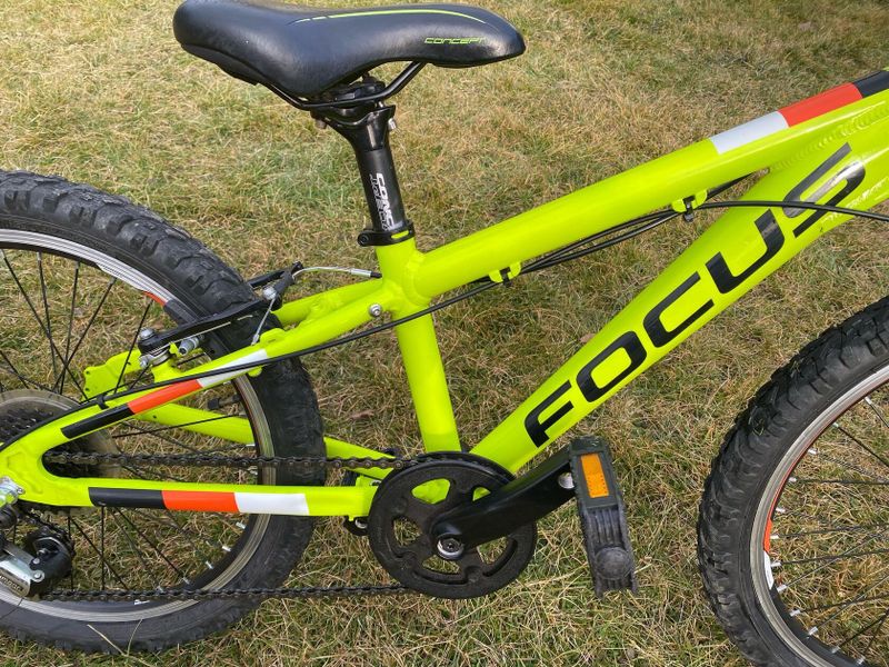 Focus Raven Rookie 20"