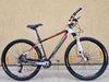 #60 Karbon Author 29", pro 165-190cm