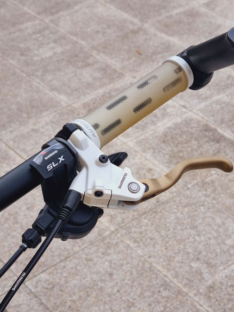 #60 Karbon Author 29", pro 165-190cm