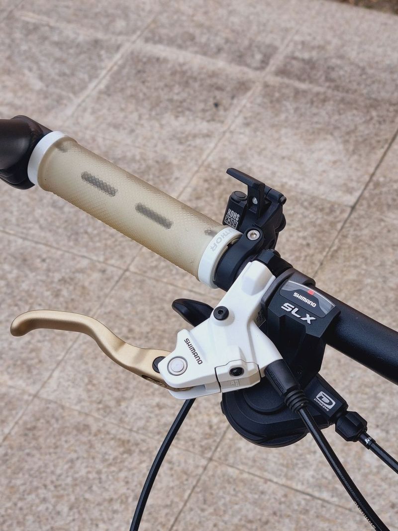 #60 Karbon Author 29", pro 165-190cm