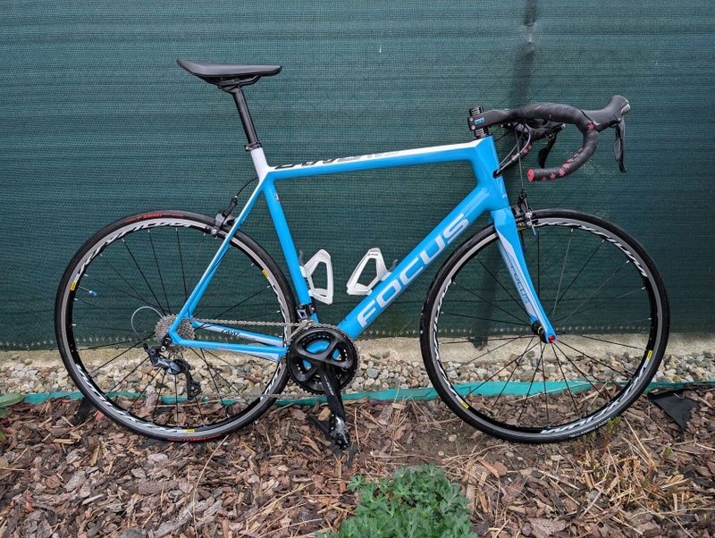 Focus cayo, vel 60 (xl), karbon 105/ultegra