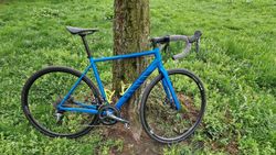 Silniční kolo Canyon Endurace AL 6