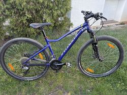 Specialized Jynx 27,5 vel M