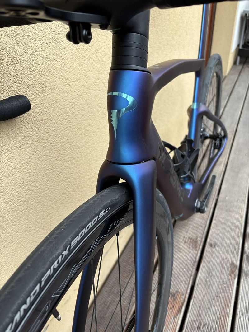 Pinarello Dogma F - 2025, Luxter blue
