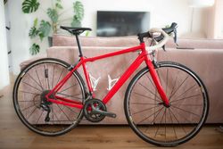 Canyon Endurance AL - zamluveno