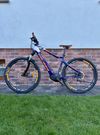 Elektro kolo Crussie E-Largo 5.5