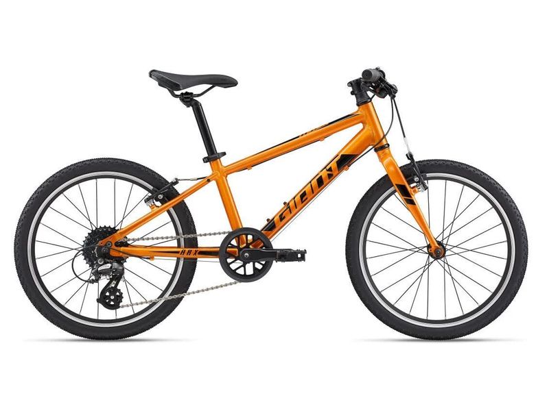 Giant 2024 ARX 20