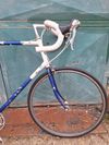 Koga Miyata gran winner