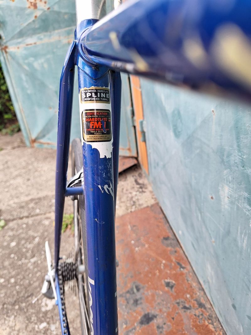 Koga Miyata gran winner