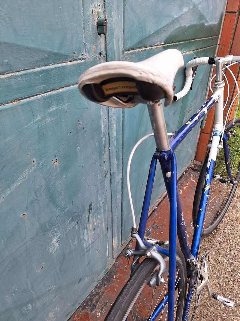 Koga Miyata gran winner