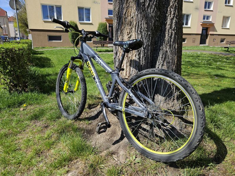 Cygnus dirt rider
