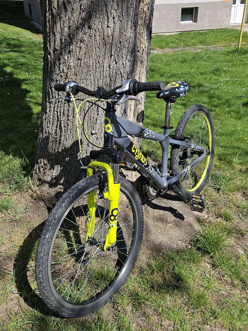 Cygnus dirt rider
