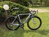 Focus Izalco Pro