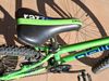 Pell's Razzer 20"