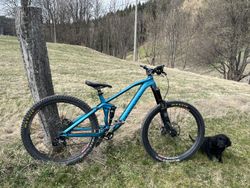 Canyon Spectral