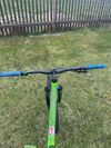 Kellys whip 10