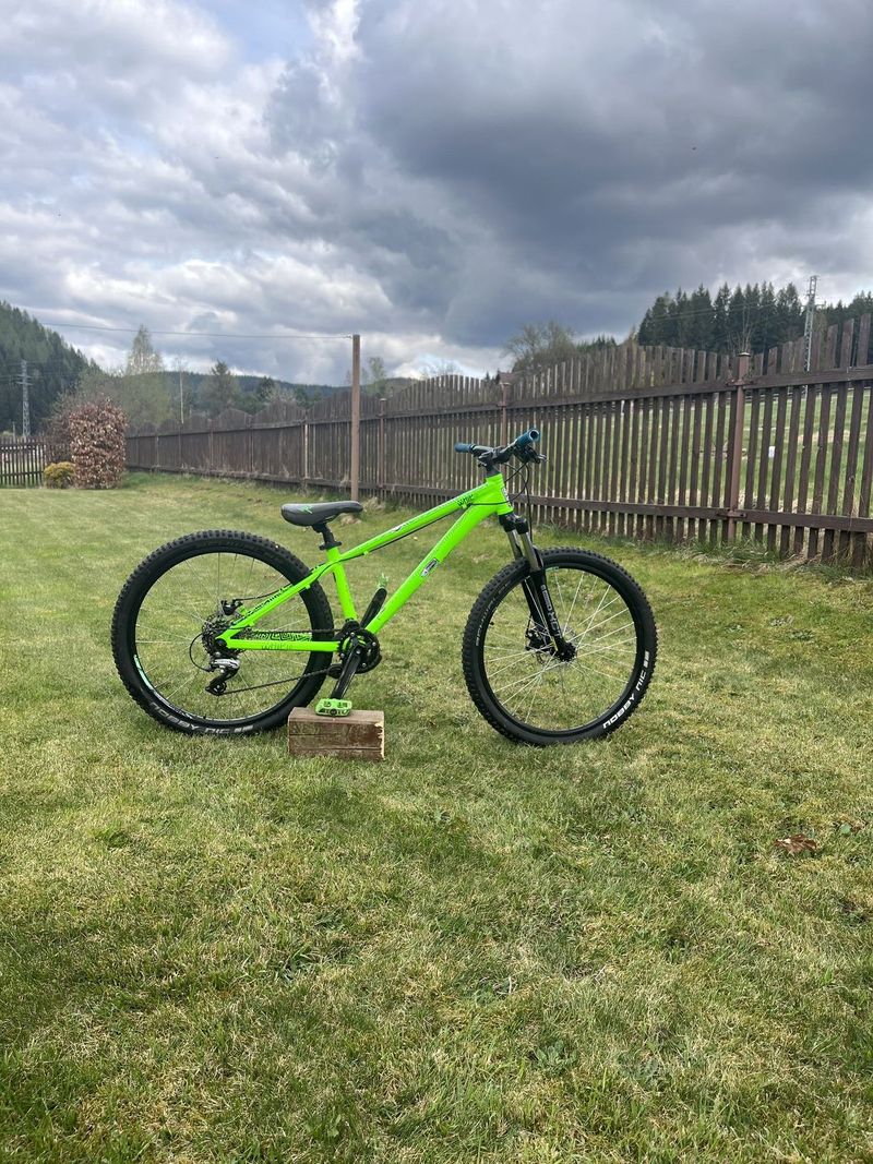 Kellys whip 10