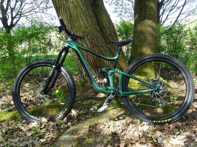 Giant Reign 29 1 Chameleon Galaxy