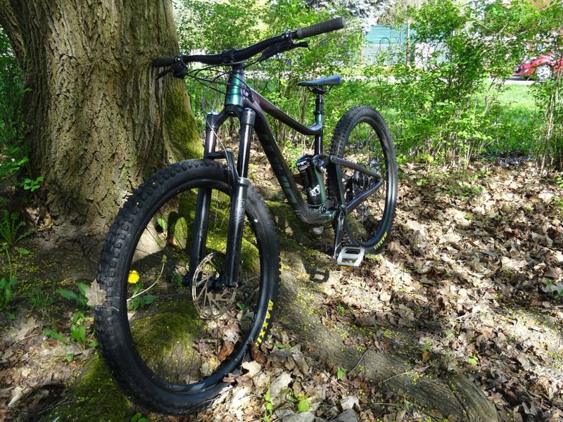Giant Reign 29 1 Chameleon Galaxy