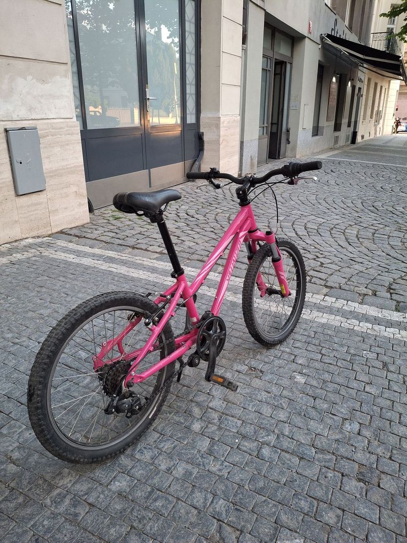 Specialized hotrock 20