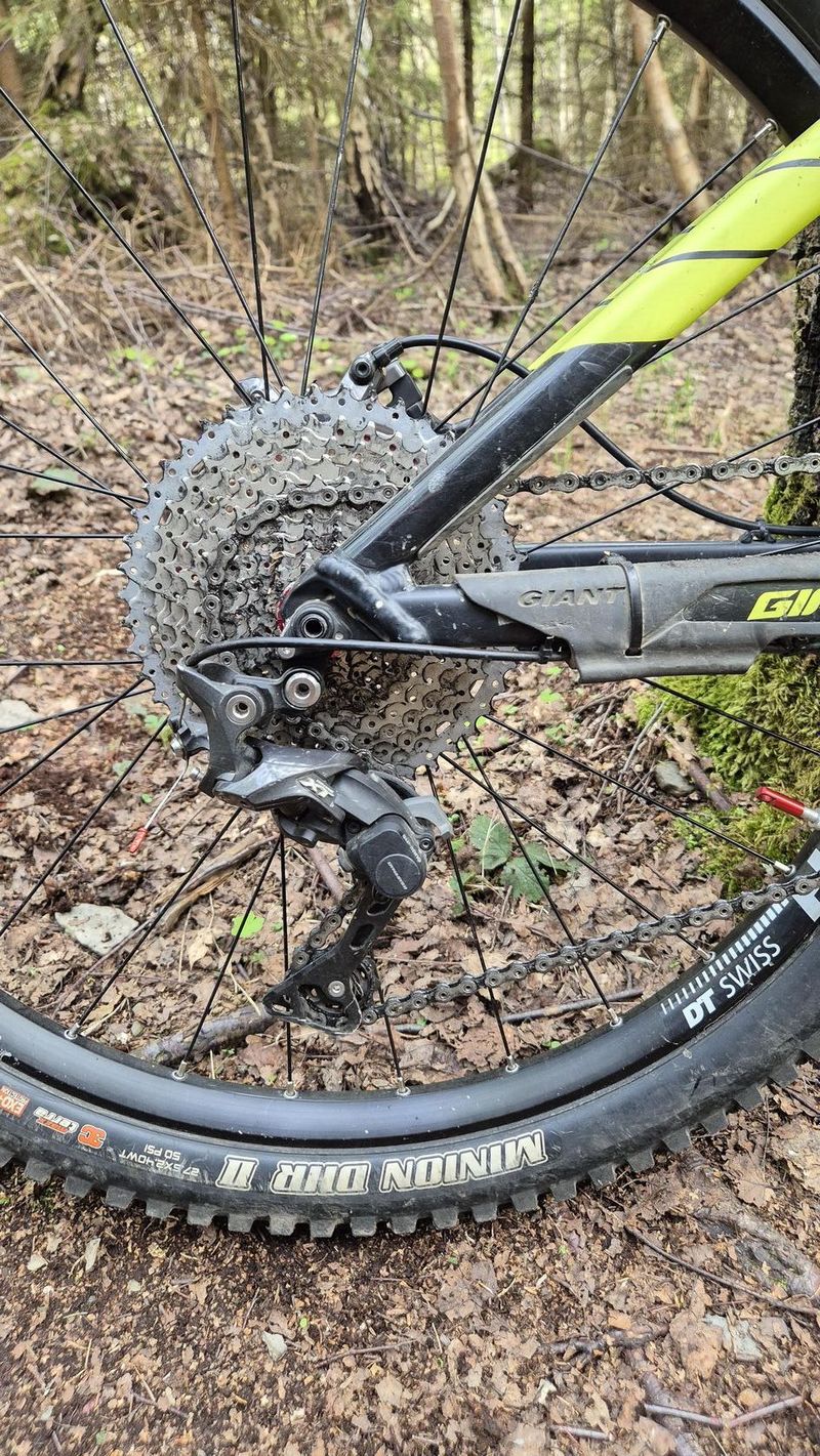 GIANT REIGN 2 LTD