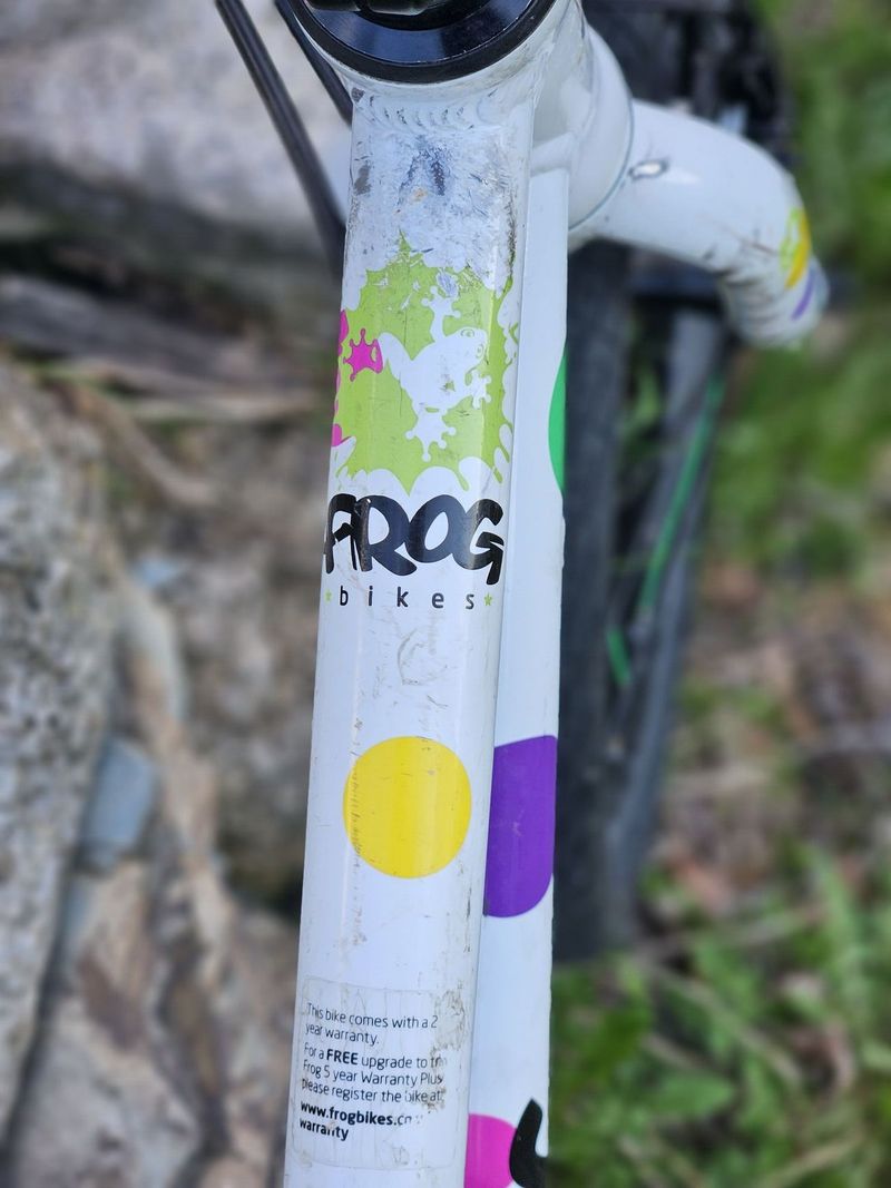 FROG 55, velikost 20"