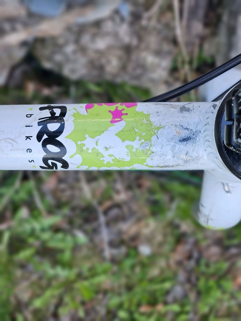 FROG 55, velikost 20"