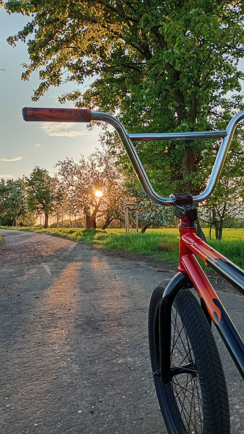 Prodám bmx