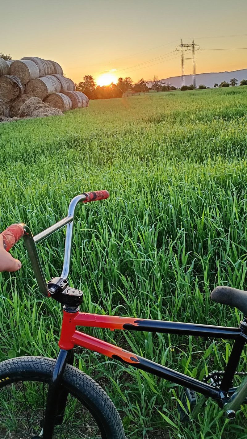 Prodám bmx