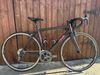 Cinelli Proestrada 