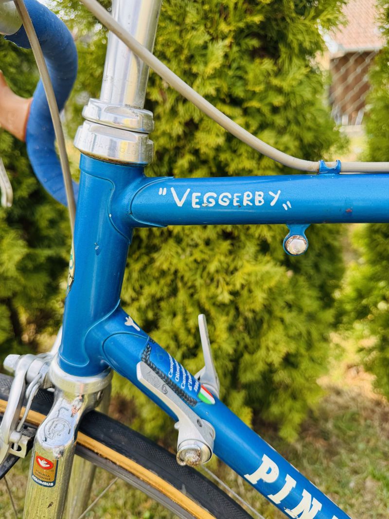 Pinarello "Veggerby"
