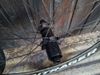 bontrager Carbon 