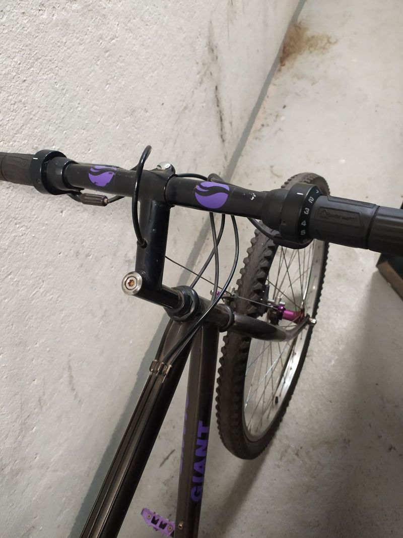Pánské horské kolo Giant 