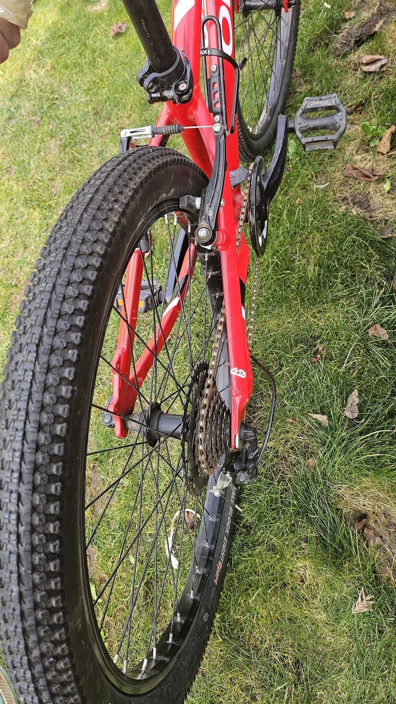 Dětské kolo ORBEA MX 20 TEAM 2019 