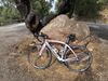 Fondriest TF3 1.2