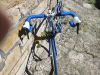Silniční kolo Trek Madone5.5