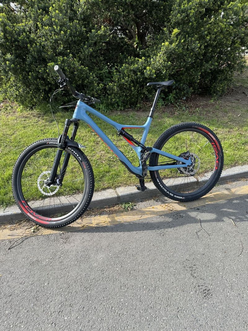 Specialized stampjumper karbon 29