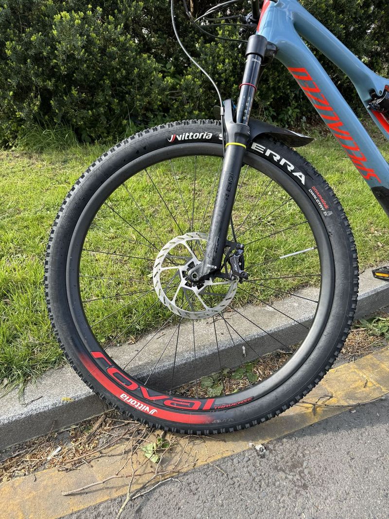 Specialized stampjumper karbon 29
